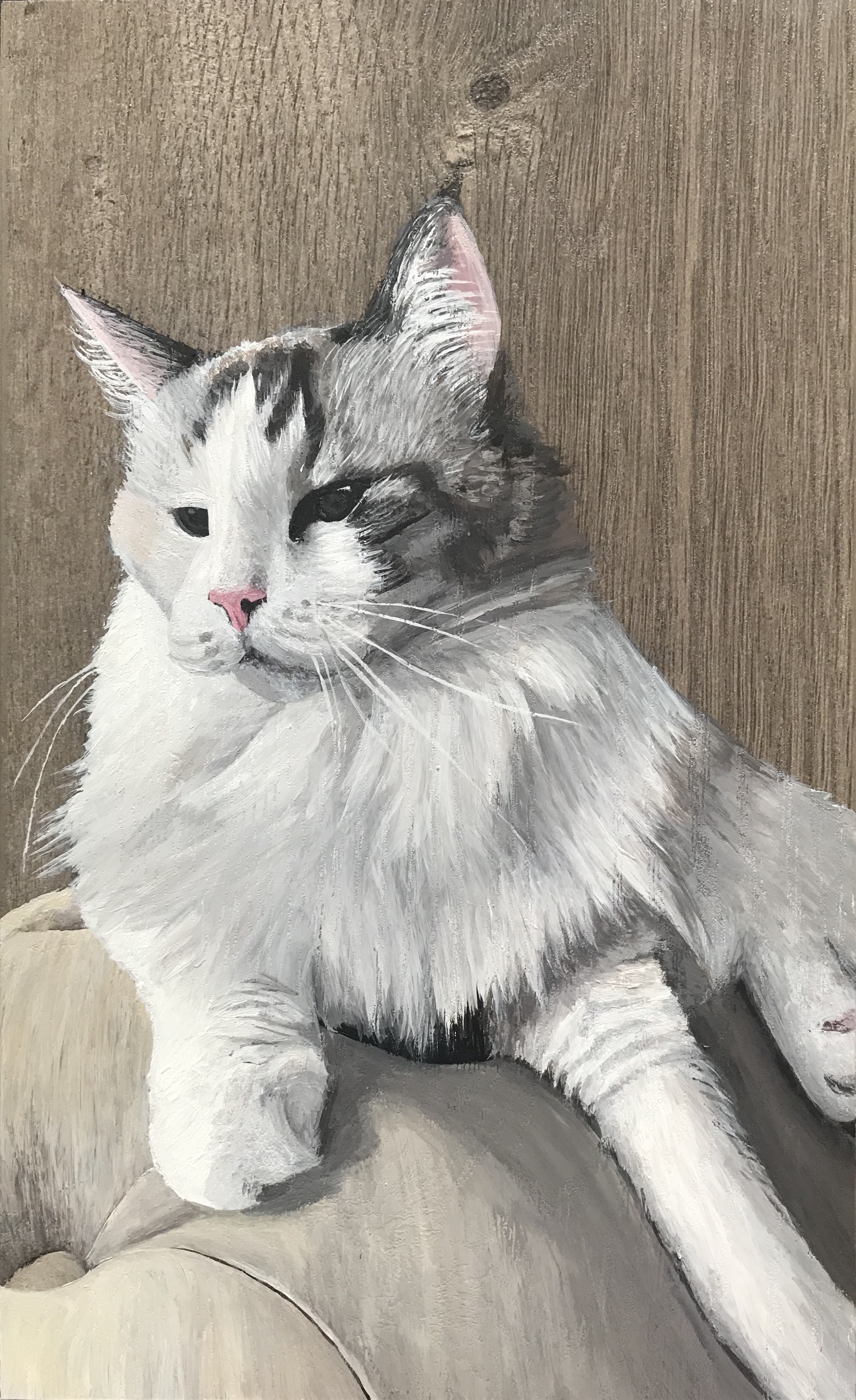 Bella portrait