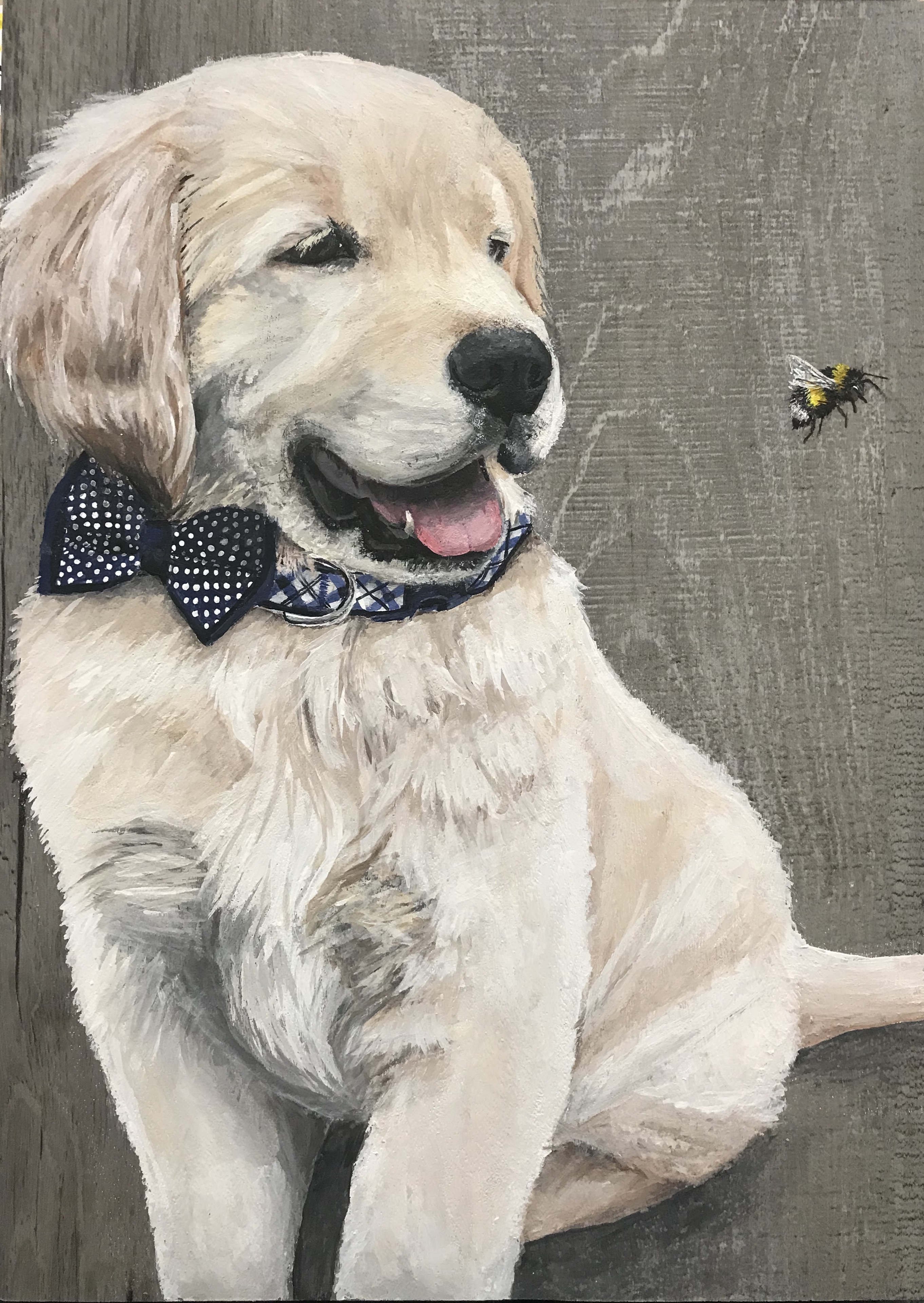 Charlie portrait