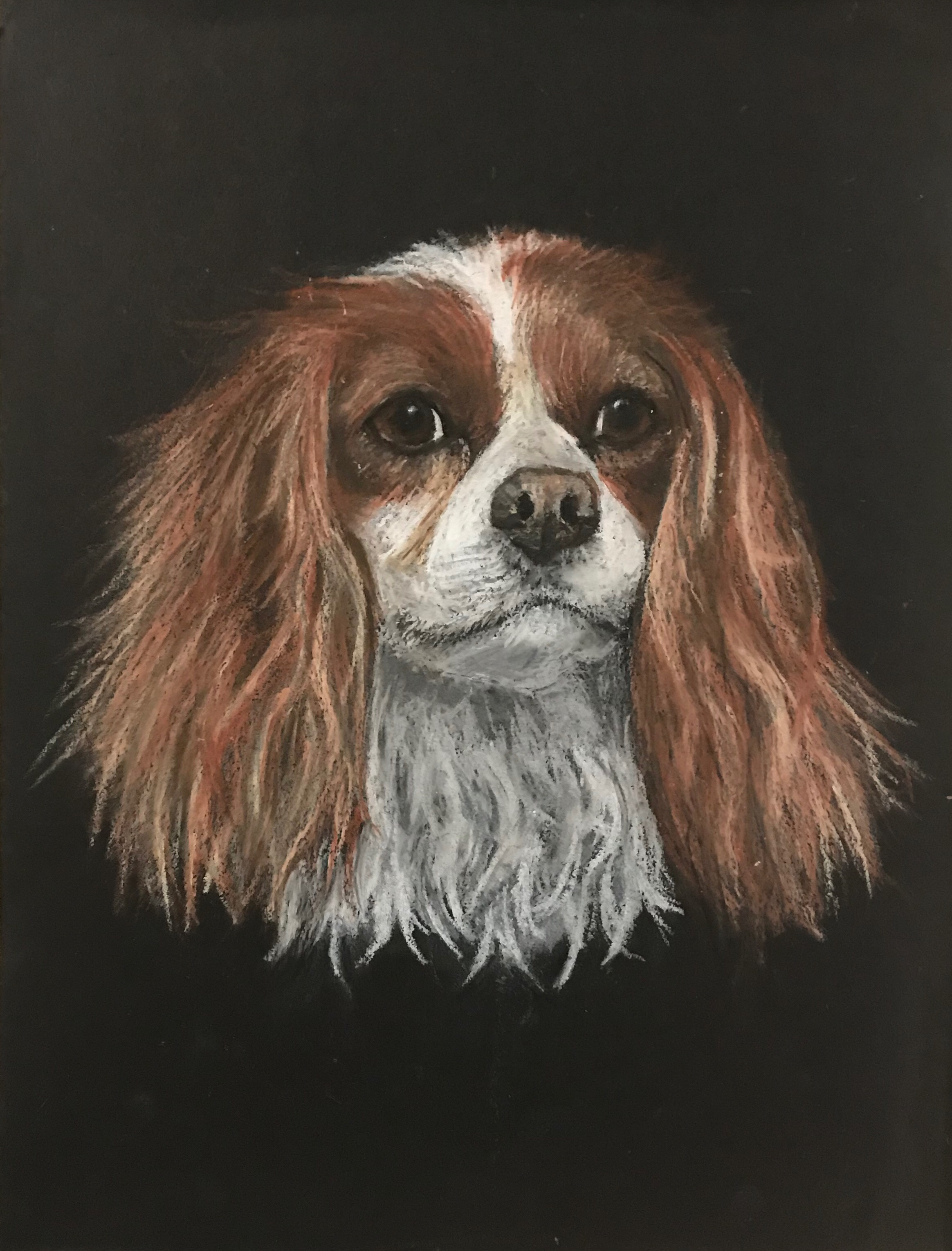 Daisy portrait