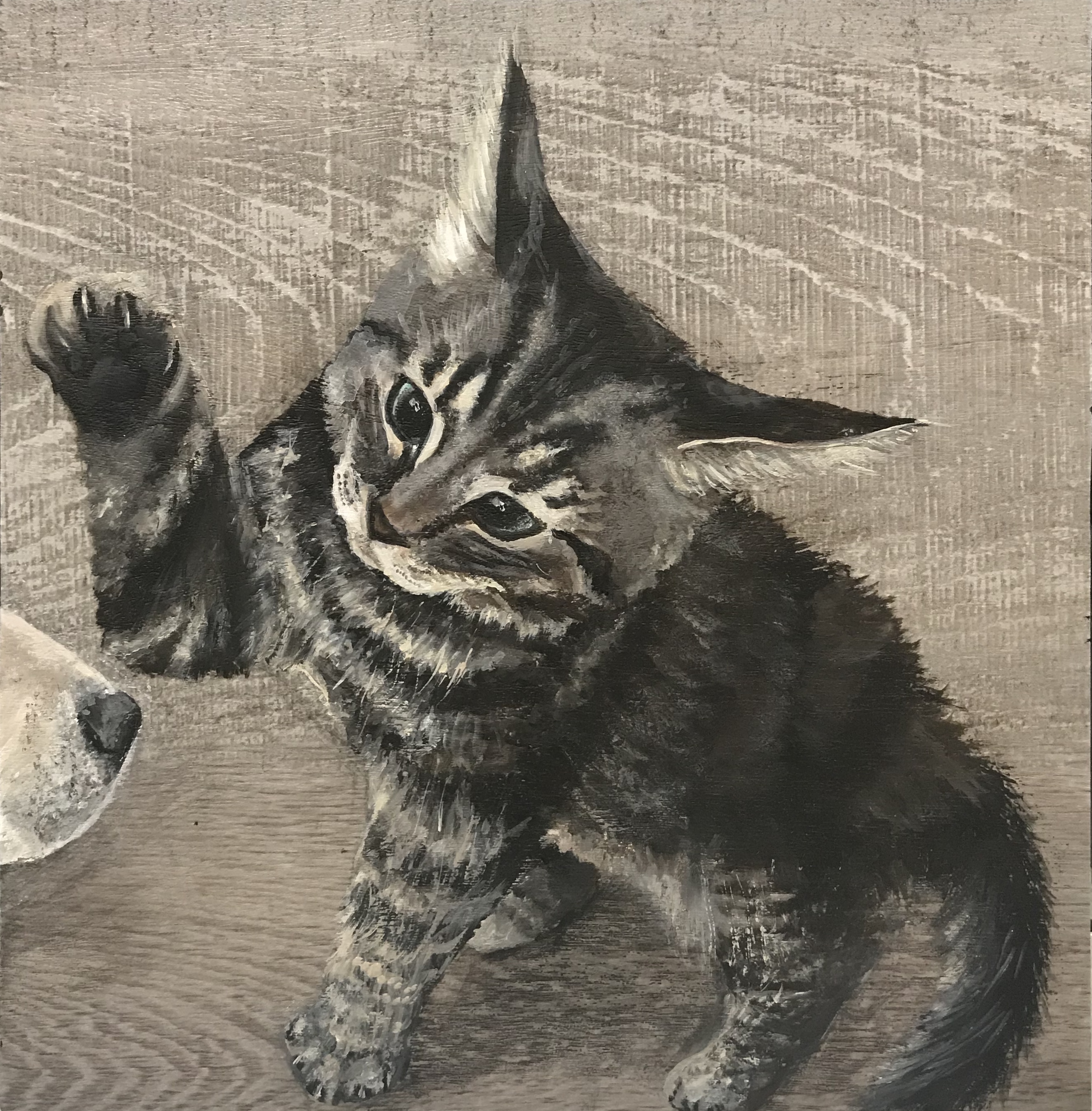 Kingsly portrait