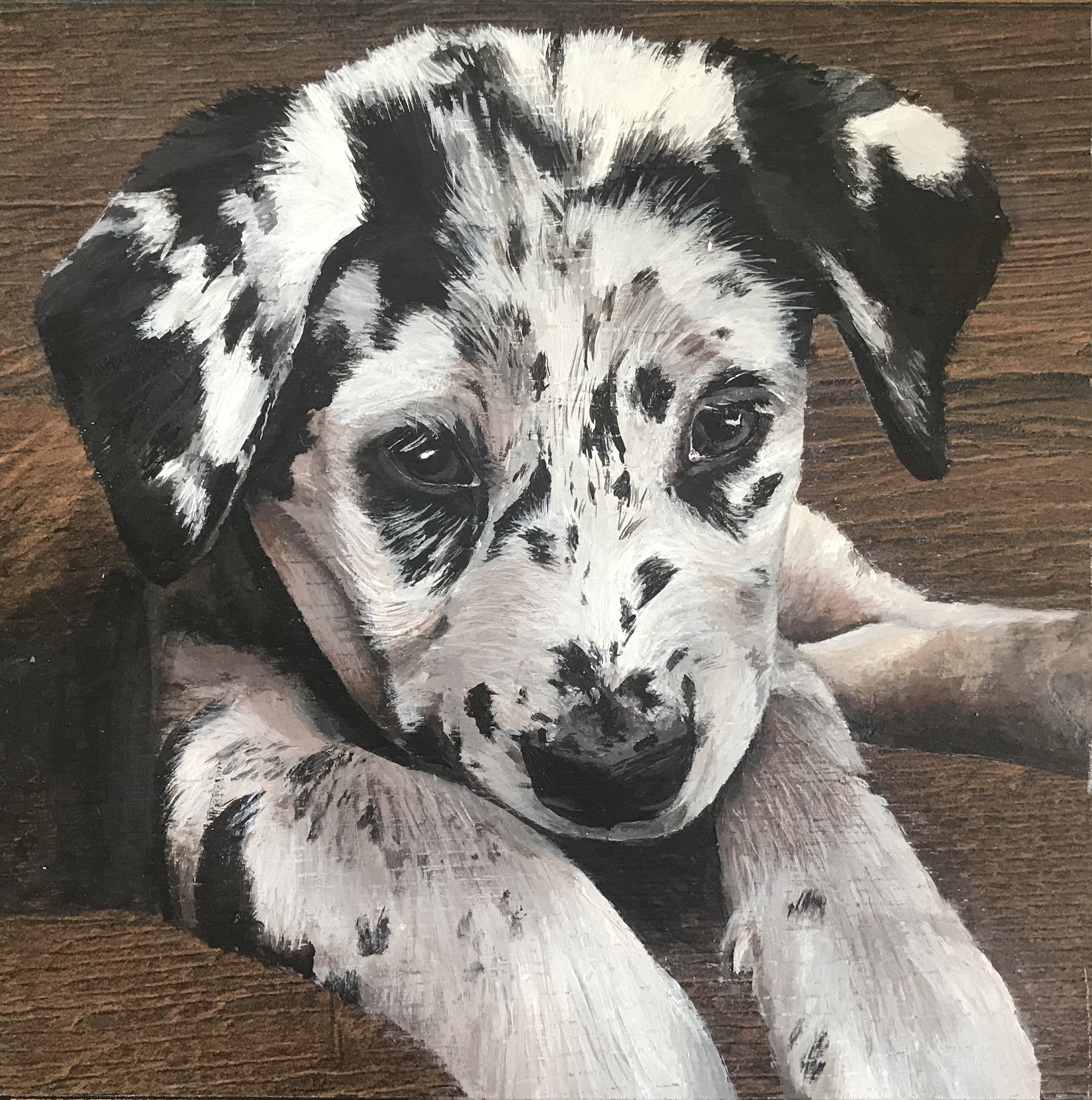 Nash portrait