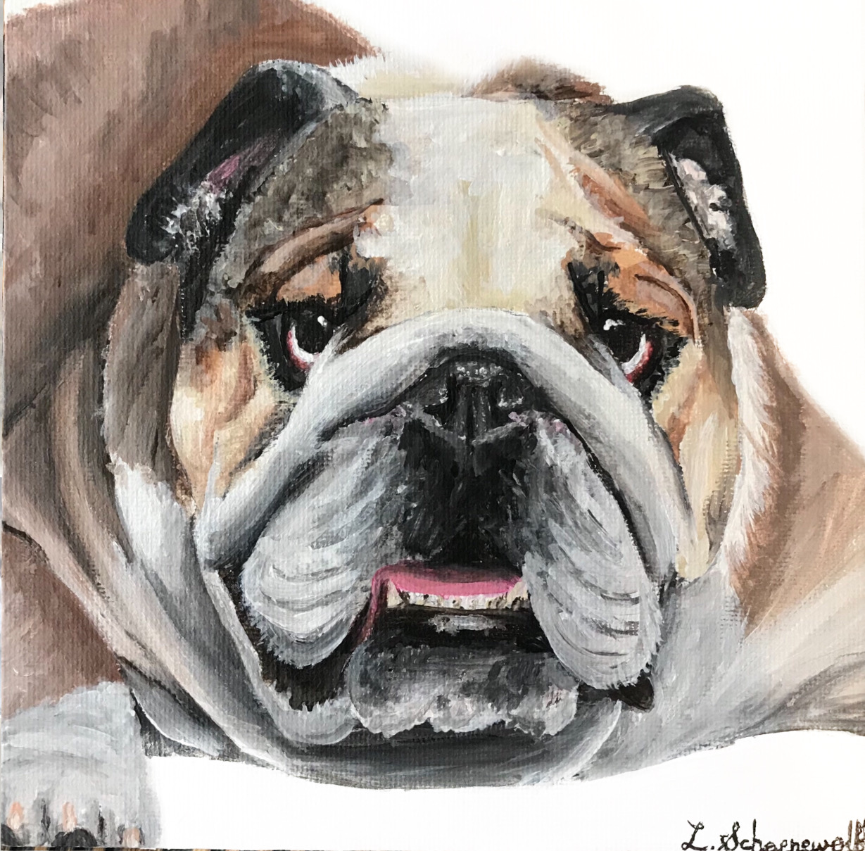 Bulldog