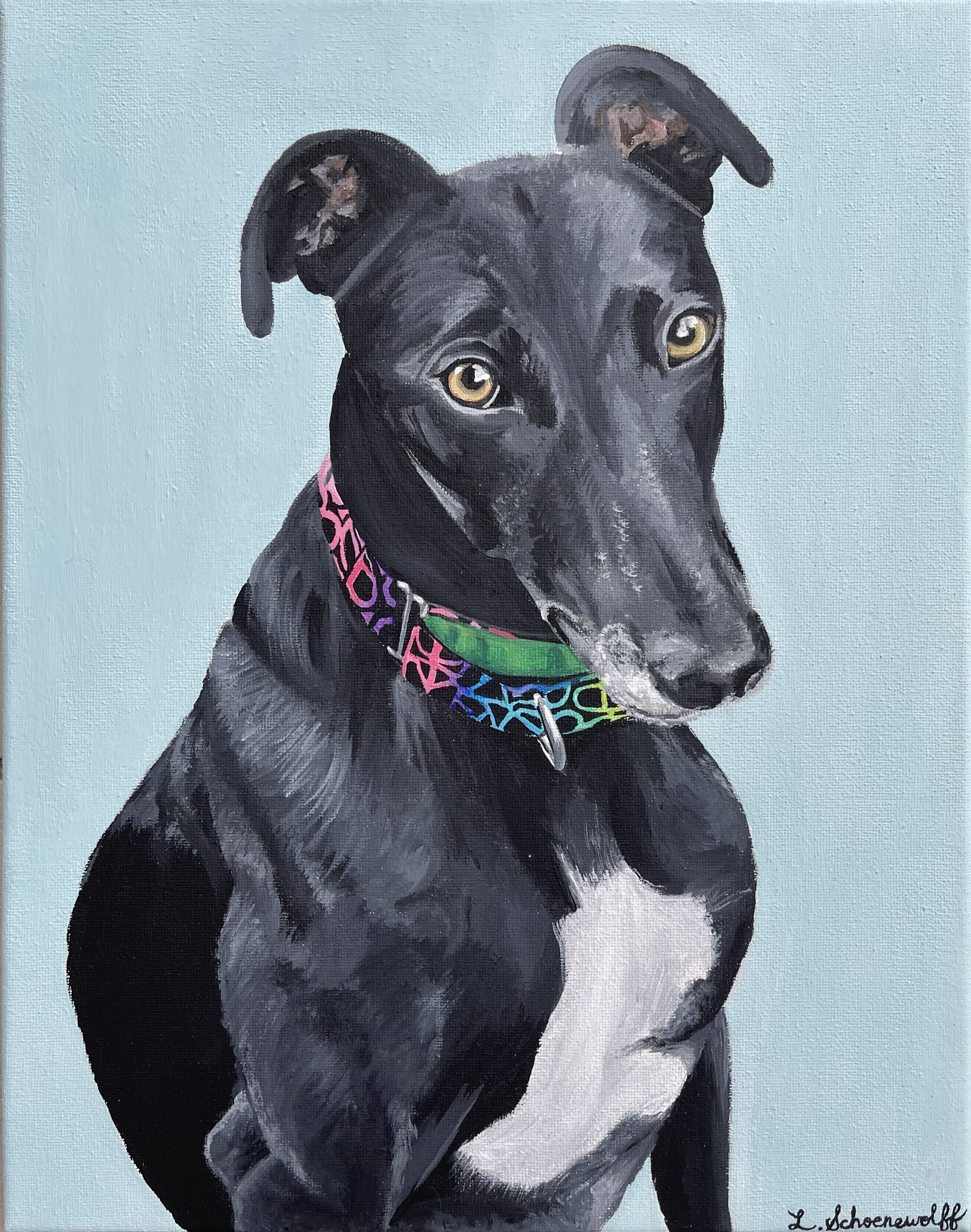 Greyhound