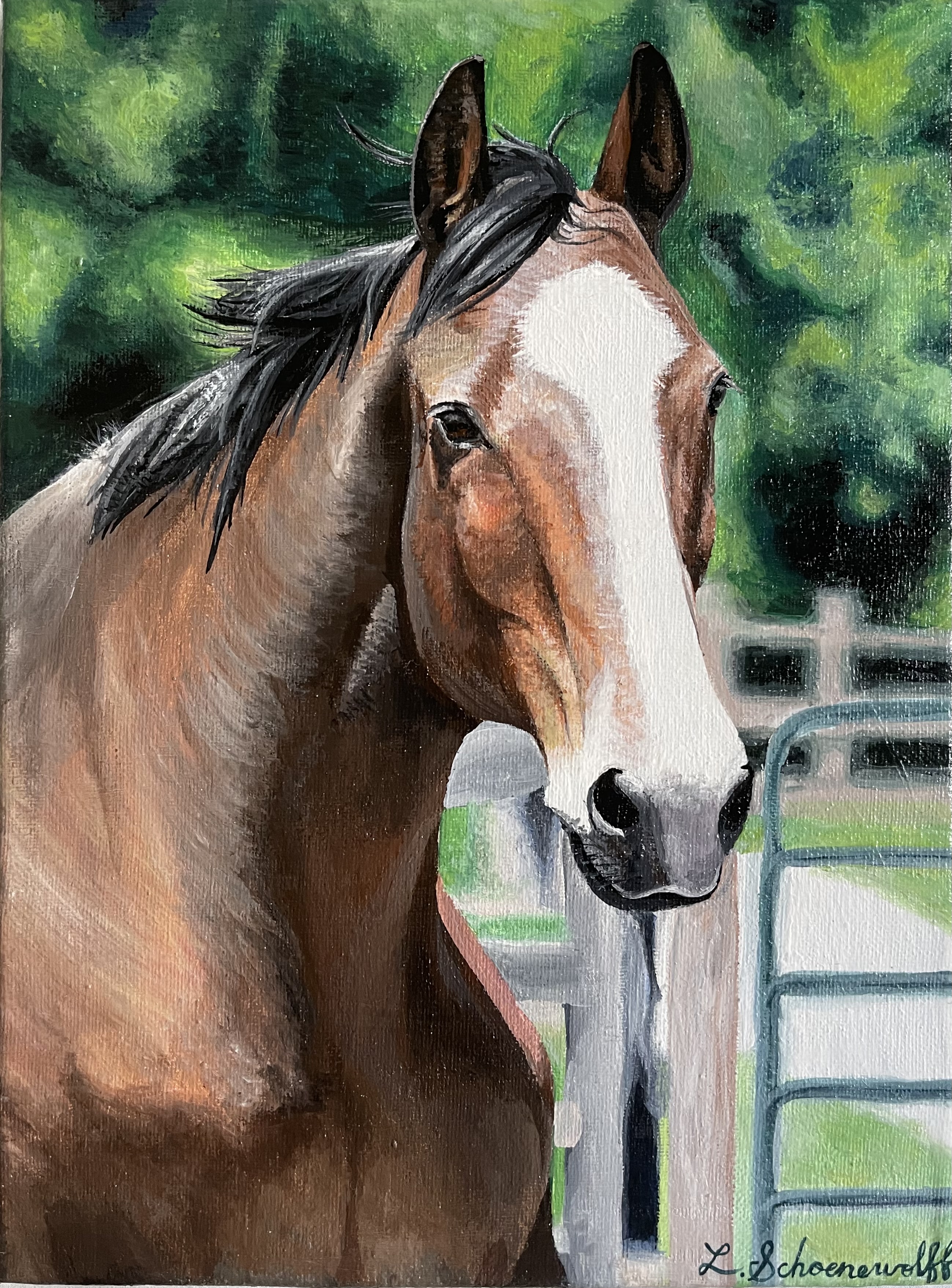 Horse